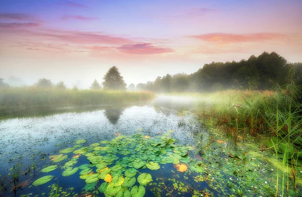 Vacker dimmig morgon på flodstranden — Stockfoto