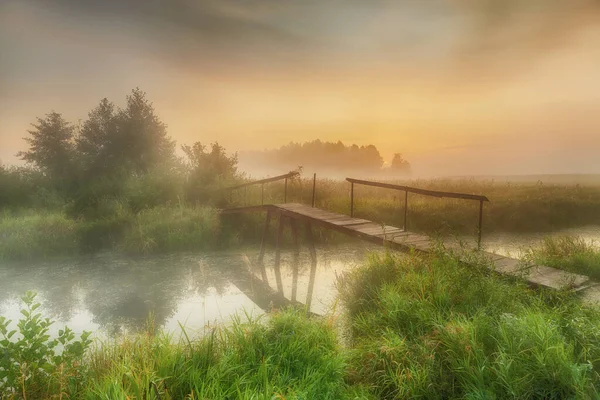 Krásné mlhavé ráno na březích řeky — Stock fotografie