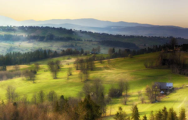 Green meadows in early spring — Stock Photo, Image