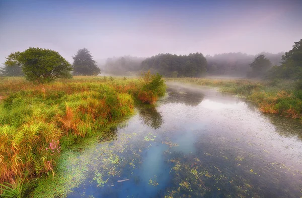 Bella mattina nebbiosa sulle rive del fiume — Foto Stock