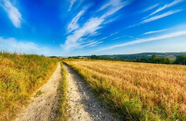 Céu nublado bonito sobre campos de verão — Fotografia de Stock