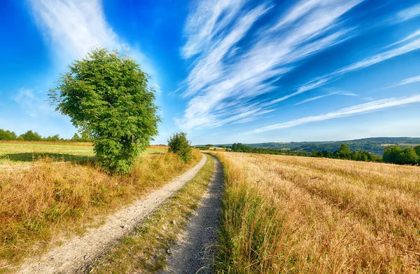 Piękne zachmurzone niebo nad polami letnimi — Zdjęcie stockowe