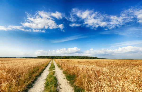 Beautiful cloudy sky over summer fields — Stock Photo, Image