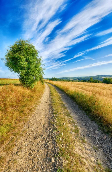 Piękne zachmurzone niebo nad polami letnimi — Zdjęcie stockowe