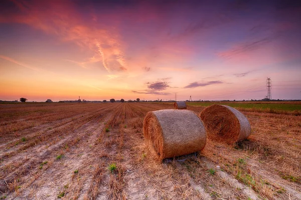 Belo pôr do sol de verão sobre campos com fardos de feno — Fotografia de Stock