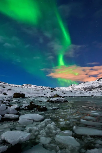 Aurora borealis över Norge lofotens — Stockfoto