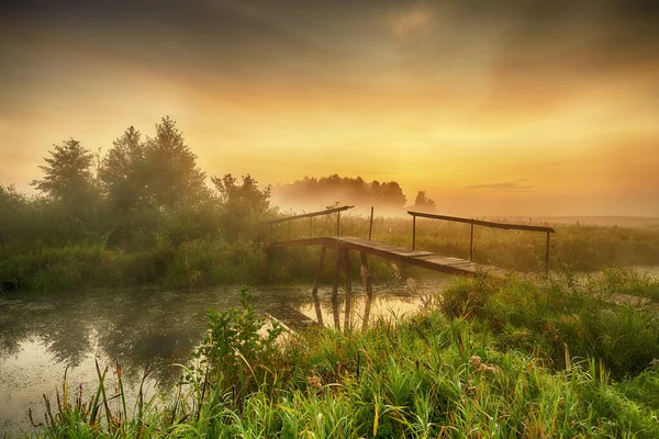 Прекрасное туманное утро на берегу реки — стоковое фото