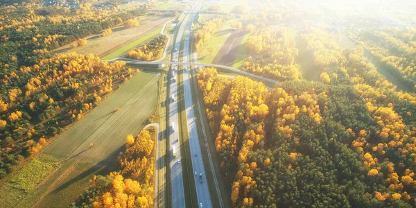 Sonbahar manzaralı otobanın insansız hava aracı görüntüsü — Stok fotoğraf