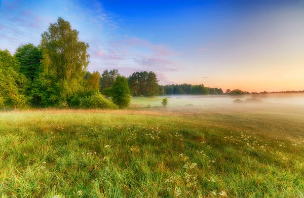 Hermoso verano niebla paisaje de la mañana —  Fotos de Stock