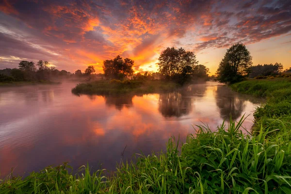 Schöner Sommersonnenaufgang Über Dem Flussufer — Stockfoto