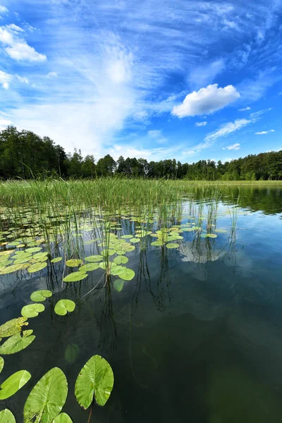 Schöner Sommertag Der Masurischen Seenplatte Polen — Stockfoto