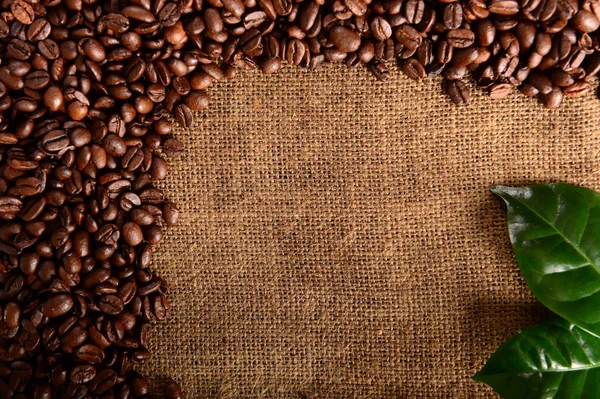 Kávové Pozadí Praženými Fazolemi Listy — Stock fotografie