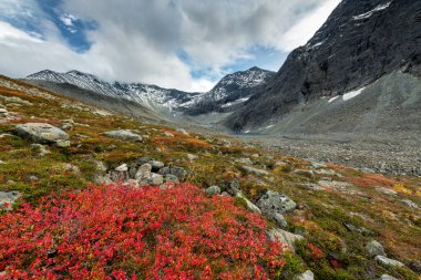 Sonbahar boyunca güzel dağlar manzarası