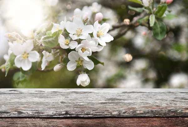 Empty Old Wooden Table Background — Stock Photo, Image