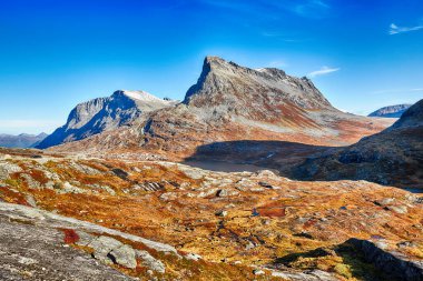 Dağlardaki güzel sonbaharın manzarası