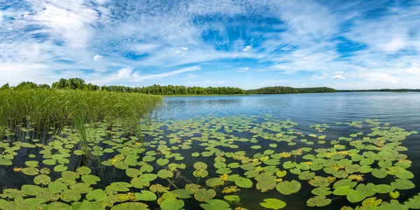 Панорама Прекрасного Летнего Дня Озере Мазурия Польше — стоковое фото