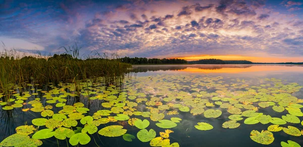 Panorama Del Hermoso Amanecer Sobre Lago —  Fotos de Stock