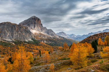 Sonbahar boyunca dağların güzel manzarası