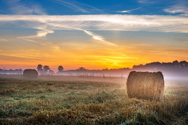 Vacker Sommar Soluppgång Över Fält Med Höbalar — Stockfoto