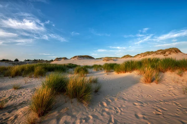 Prachtig Dessert Landschap Tijdens Het Gouden Uur — Stockfoto