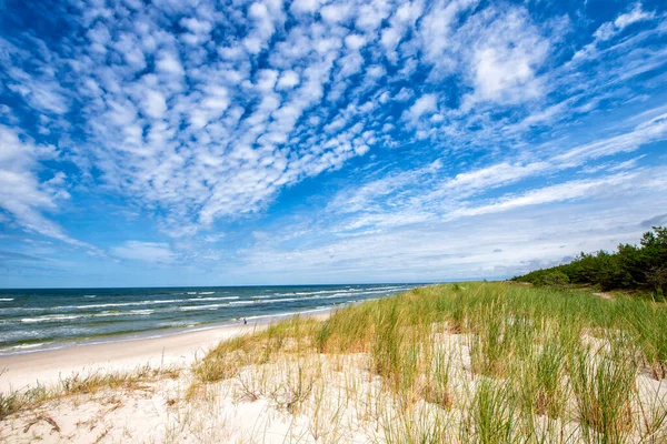 Beautiful summer landscape of sea coast and dunes