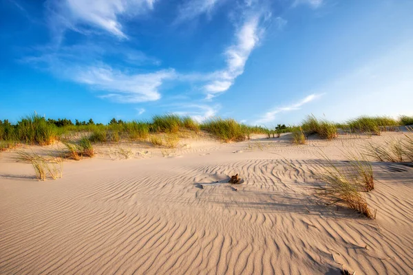 Vackert Sommarlandskap Havskust Och Sanddyner — Stockfoto