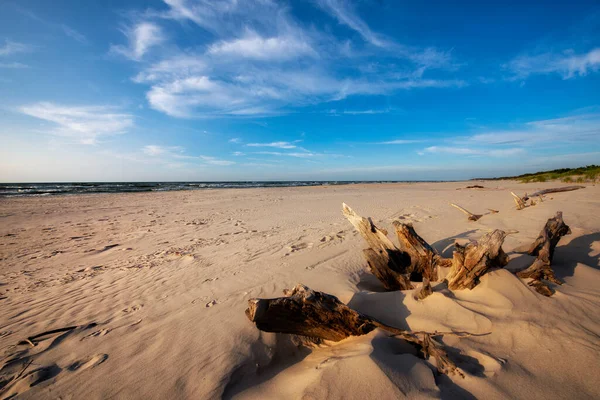 Prachtig Zomer Landschap Van Zee Kust — Stockfoto