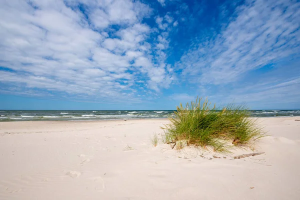 Prachtig Zomer Landschap Van Zee Kust — Stockfoto