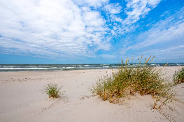 Prachtig Zomer Landschap Van Zee Kust — Stockfoto