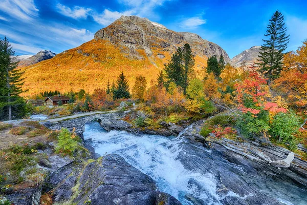 黄色の木々や川と美しい秋の風景 — ストック写真