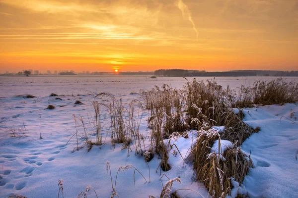 Beautiful Winter Sunrise Fields Covered Snow — Stock Photo, Image