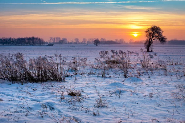 Schöner Wintersonnenaufgang Über Schneebedeckten Feldern — Stockfoto