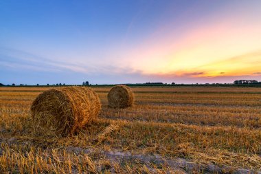 Güzel yaz gündoğumu saman balyalarıyla tarlaların üzerinde