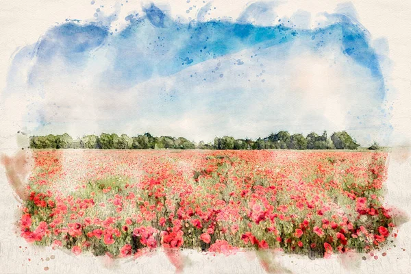 Indah Hari Musim Panas Atas Poppy Field Gambar Cat Air — Stok Foto