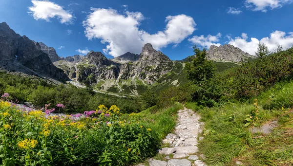 Prachtig Zomerpanorama Van Bergketen — Stockfoto