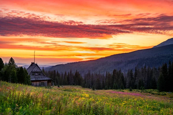 山の中で美しい夏の日の出 — ストック写真