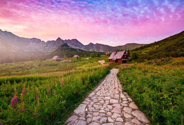 Polonya Daki Hala Gasienicowa Tatras Güzel Bir Yaz Günü — Stok fotoğraf