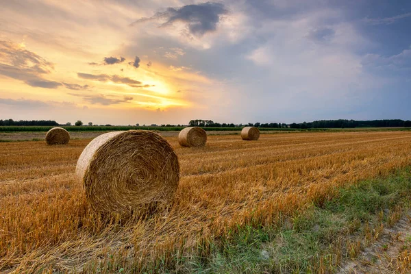 Schöner Sommersonnenaufgang Über Feldern Mit Heuballen — Stockfoto