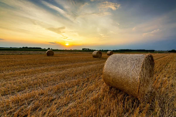 Beautiful Summer Sunrise Fields Hay Bales — Stock Photo, Image