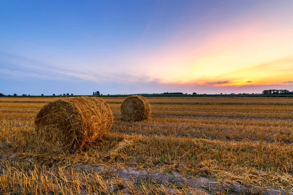 Beautiful Summer Sunrise Fields Hay Bales — Stock Photo, Image