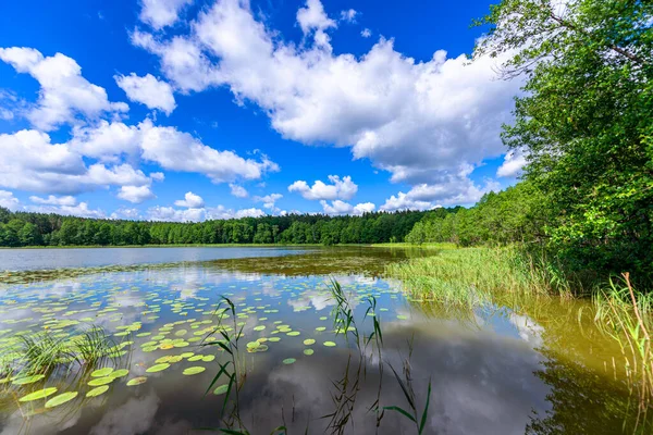 Beautiful Summer Day Masuria Lake District Poland — Stock Photo, Image