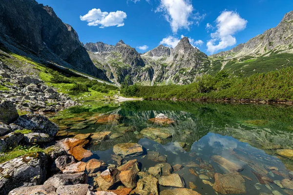 Vackra Berg Landskap Sommaren — Stockfoto
