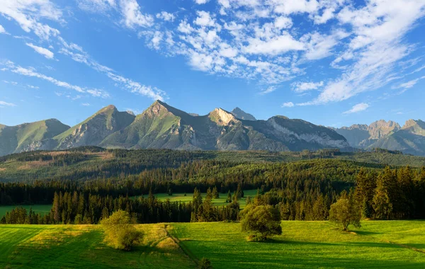 Όμορφο Καλοκαιρινό Τοπίο Των Βουνών Tatra — Φωτογραφία Αρχείου