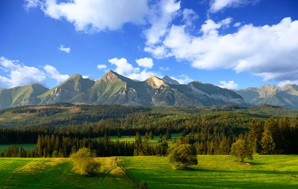 Gyönyörű Nyári Táj Tátra Hegyek — Stock Fotó