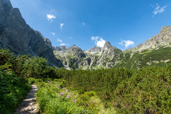 Beautiful Mountains Landscape Summer — Stock Photo, Image