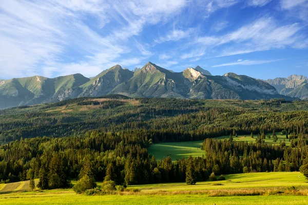 Bellissimo Paesaggio Estivo Dei Monti Tatra — Foto Stock