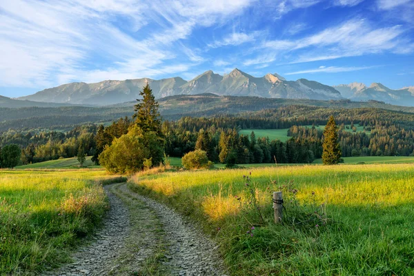 Schöne Sommerlandschaft Der Tatra — Stockfoto
