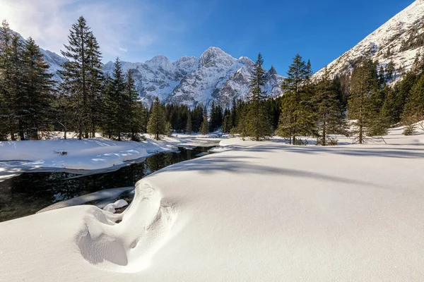 Beau Paysage Montagnes Hiver — Photo