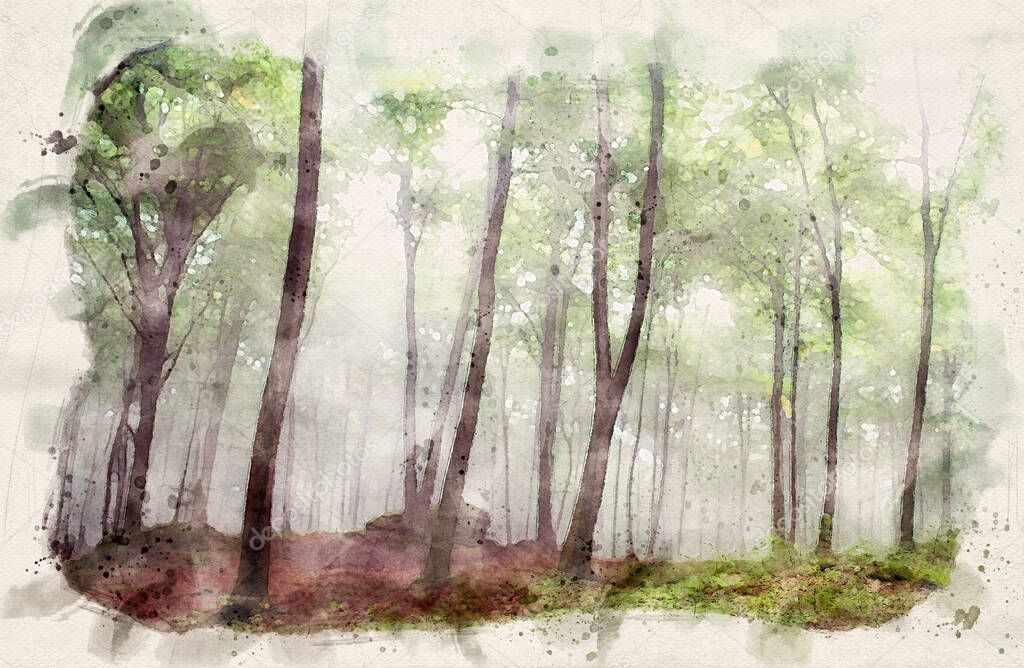 Green forest waterpaint image