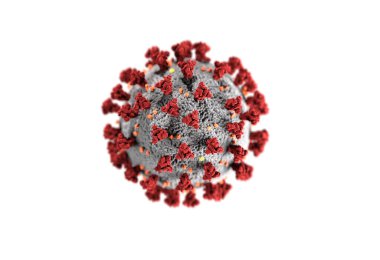 Beyaz zemin üzerinde izole Coronavirus bakterisi, CDC tarafından oluşturulan özgür görüntü, özgür kamu imajı, 